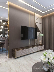 Drawing Room Interior Design in Janakpuri