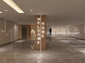 Home Entrance Design in Model Town